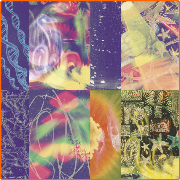 Nap Eyes The Neon Gate (2024) [320 Kbps] IlQqvlSe_o