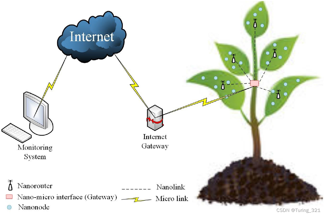 图2. 植物监测系统中的IoNT架构