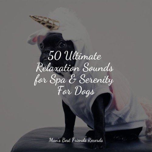 Relaxing Music for Dogs - 50 Ultimate Relaxation Sounds for Spa & Serenity For Dogs - 2022