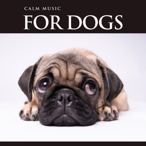 Dog Music - Calm Music For Dogs Relaxing Background Music For Dog's While You're Away, Music For ...