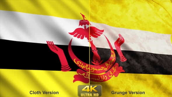 Brunei Flags - VideoHive 24630615