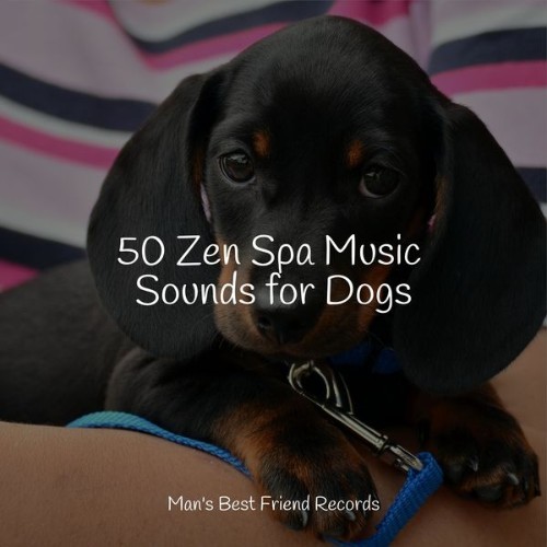 Relaxmydog - 50 Zen Spa Music Sounds for Dogs - 2022