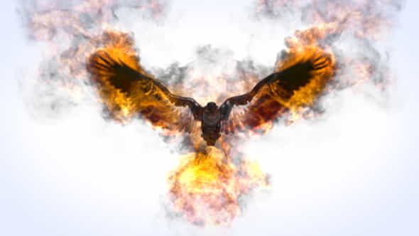 Flaming Eagle Logo - VideoHive 31914514