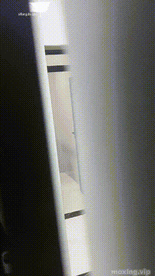 image host