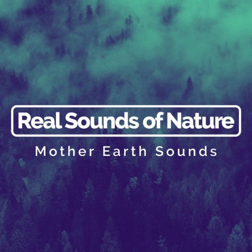 Mother Earth Sounds - Real Sounds of Nature - 2019
