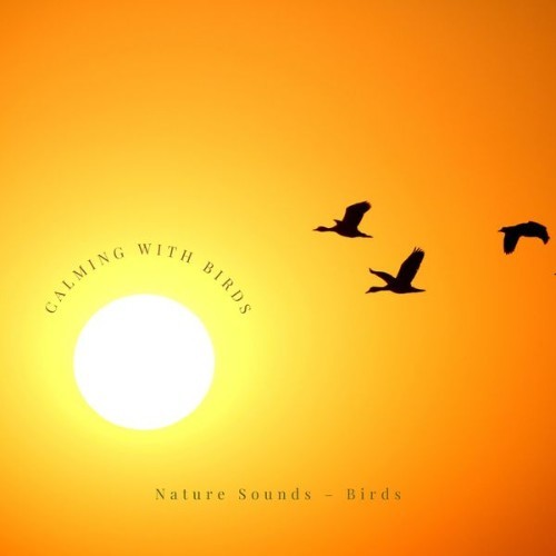 Nature Sounds – Birds - Calming with Birds - 2022