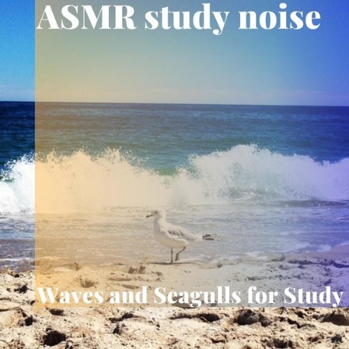 ASMR Study Noise - Waves and Seagulls for Study - 2022