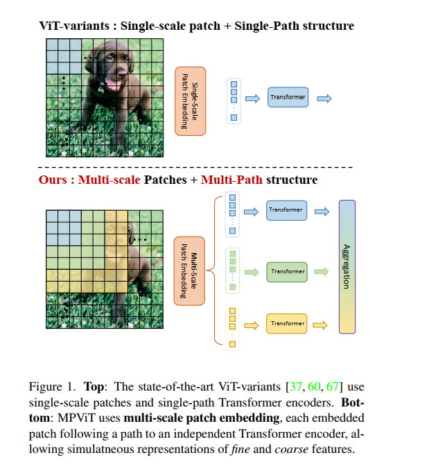 image-20220204111926065