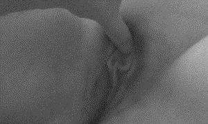 bSP9uIGB_o.gif