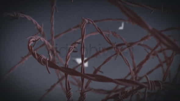 Barbed Wire | - VideoHive 7286901