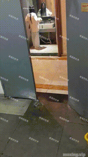 image host