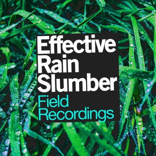 Field Recordings - Effective Rain Slumber - 2019