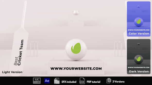 Cricket Logo Reveal - VideoHive 49538672