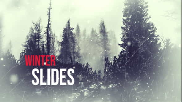 Winter Slides - VideoHive 13542164