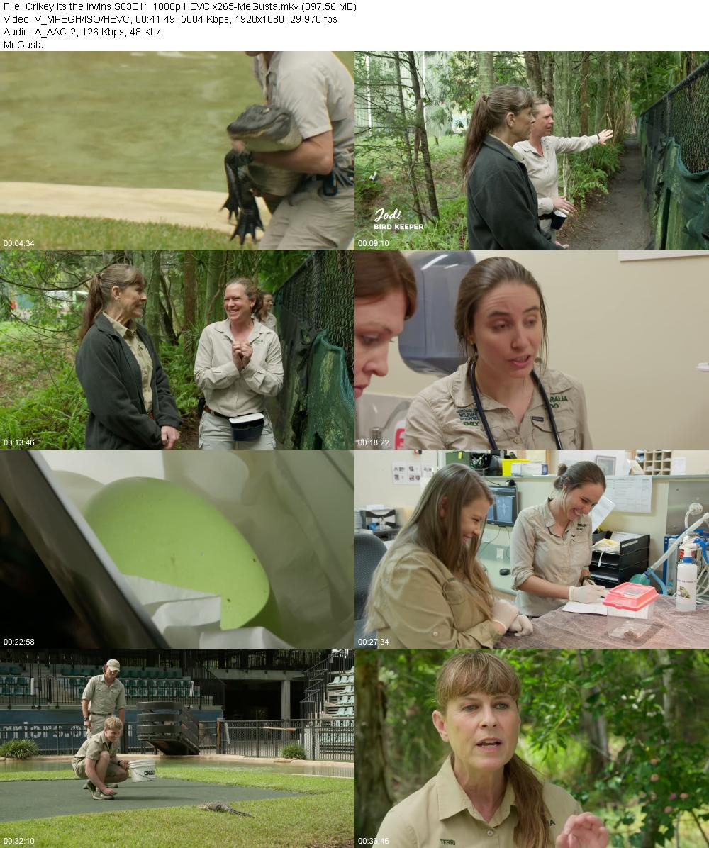 Crikey Its the Irwins S03E11 1080p HEVC x265