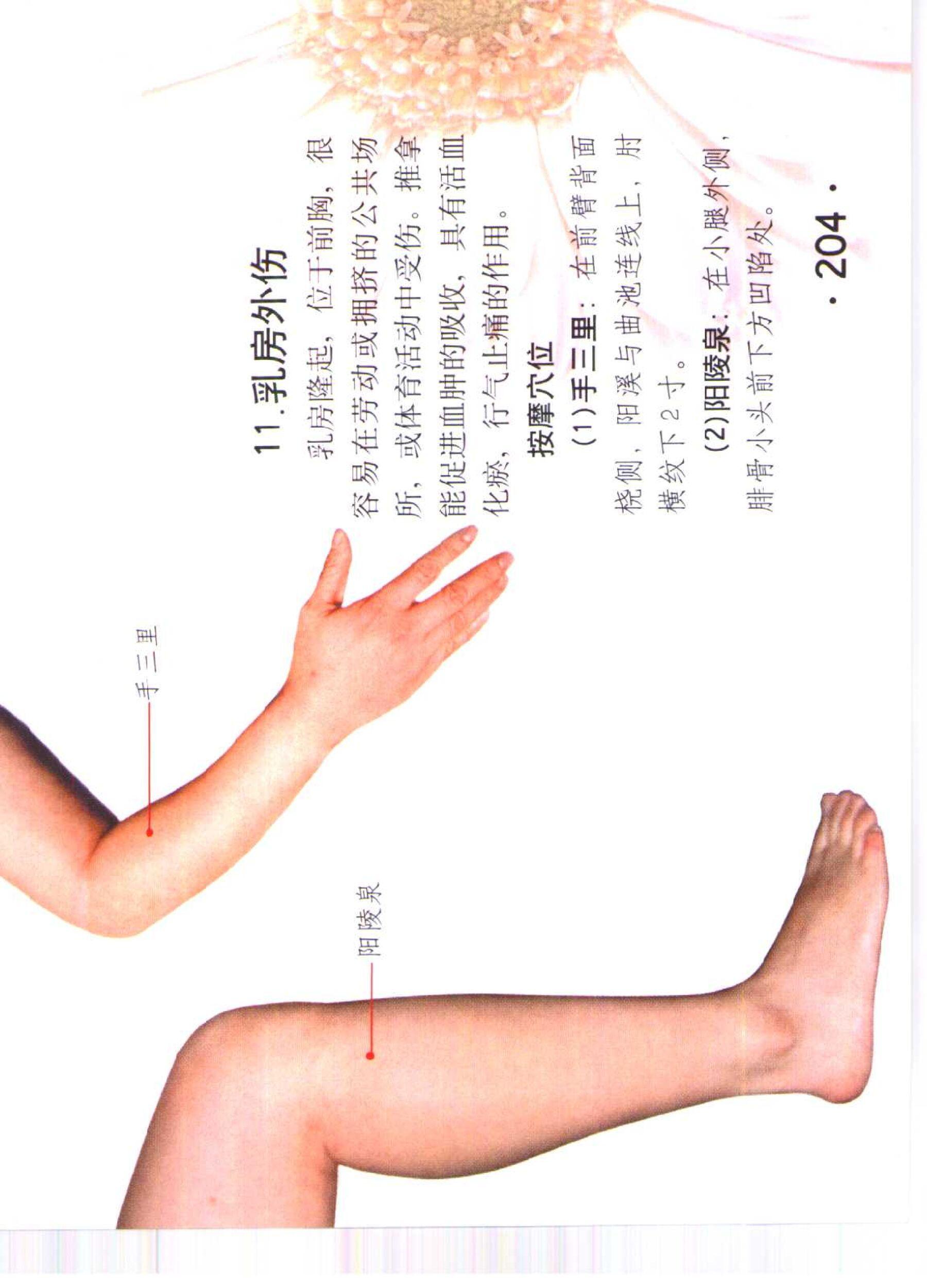 书籍扫描 乳房保健按摩彩色图谱(209)