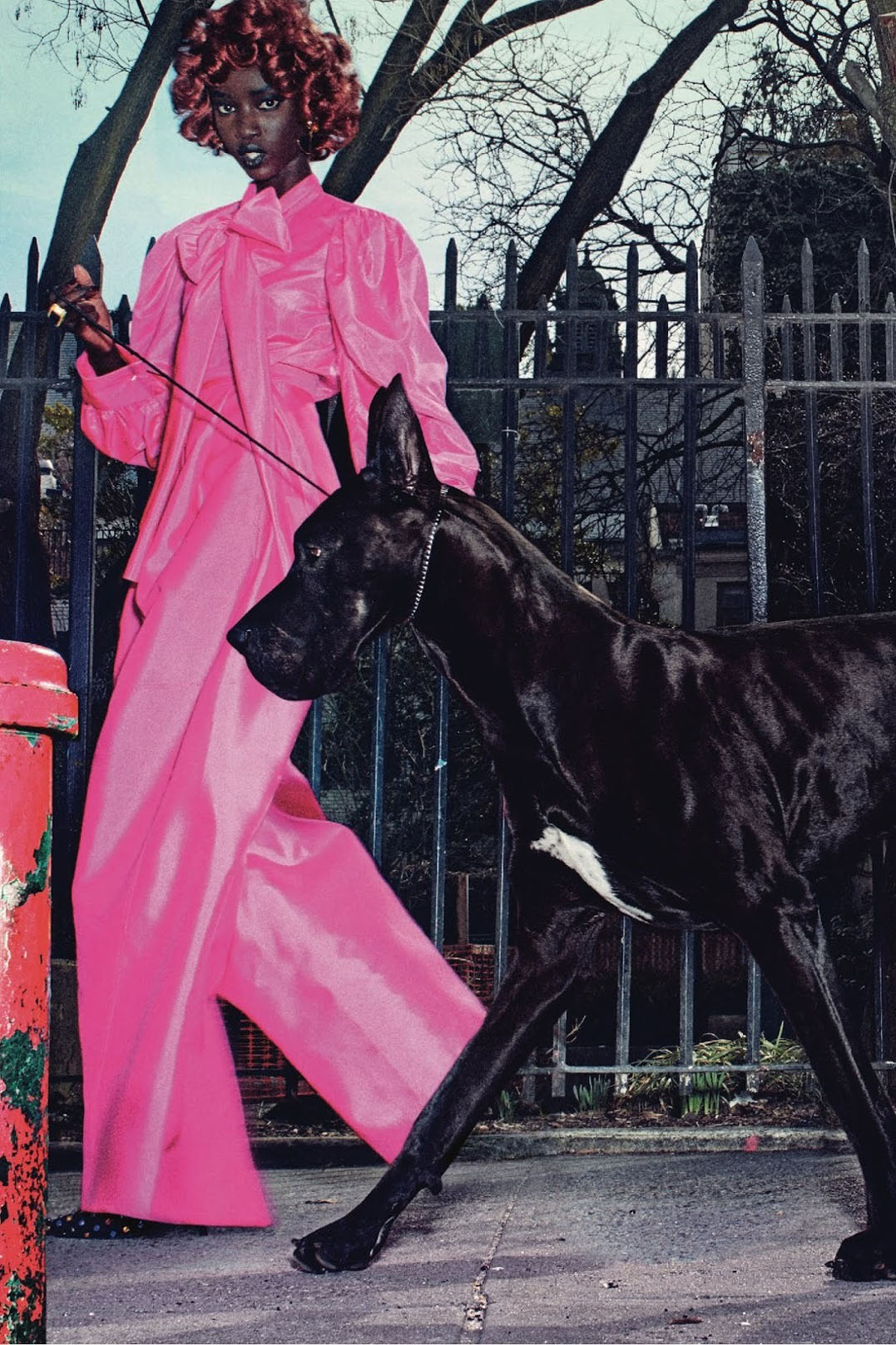 Черная дама с большой собачкой / Anok Yai by Steven Klein Черная дама с большой собачкой / Anok Yai by Steven Klein