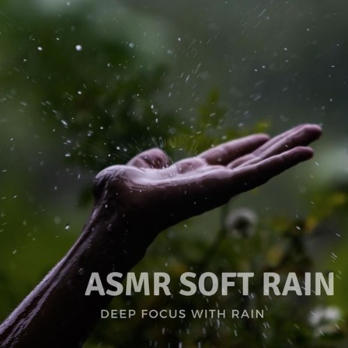 ASMR Soft Rain - Deep Focus with Rain - 2022