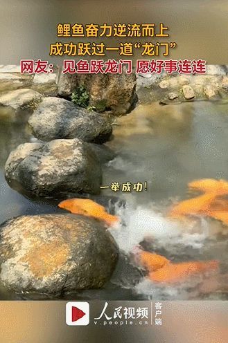4bf411a19caa25eb613b3389aead5603.jpeg