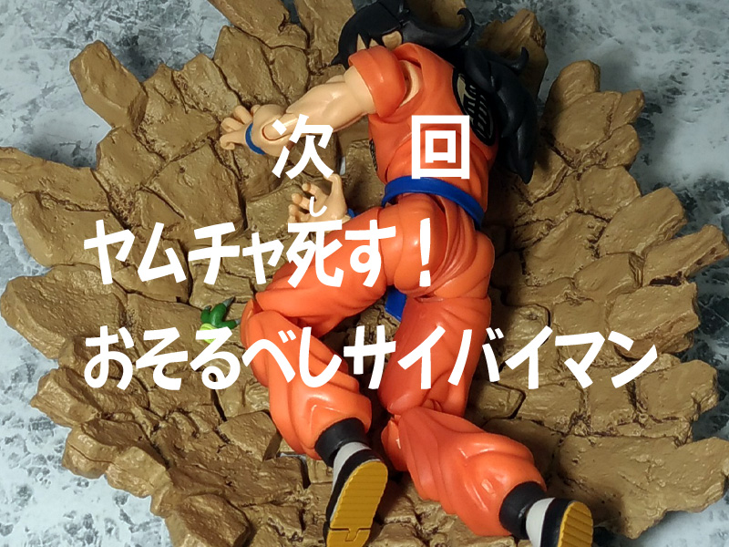 [Comentários] Dragon Ball Z SHFiguarts - Página 27 Ql9BHnuA_o