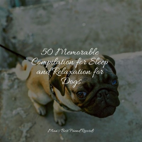 Relaxation Music For Dogs - 50 Memorable Compilation for Sleep and Relaxation for Dogs - 2022