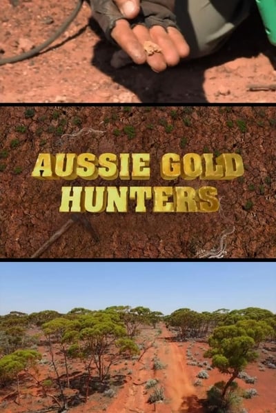 Aussie Gold Hunters S06E20 720p HEVC x265-MeGusta