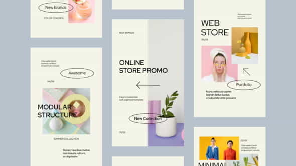 Online Shopping Store Instagram Stories - VideoHive 33632413