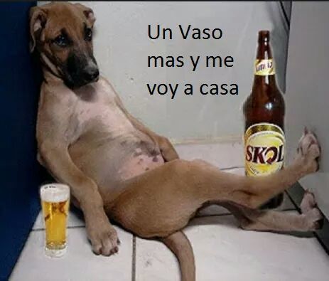humor