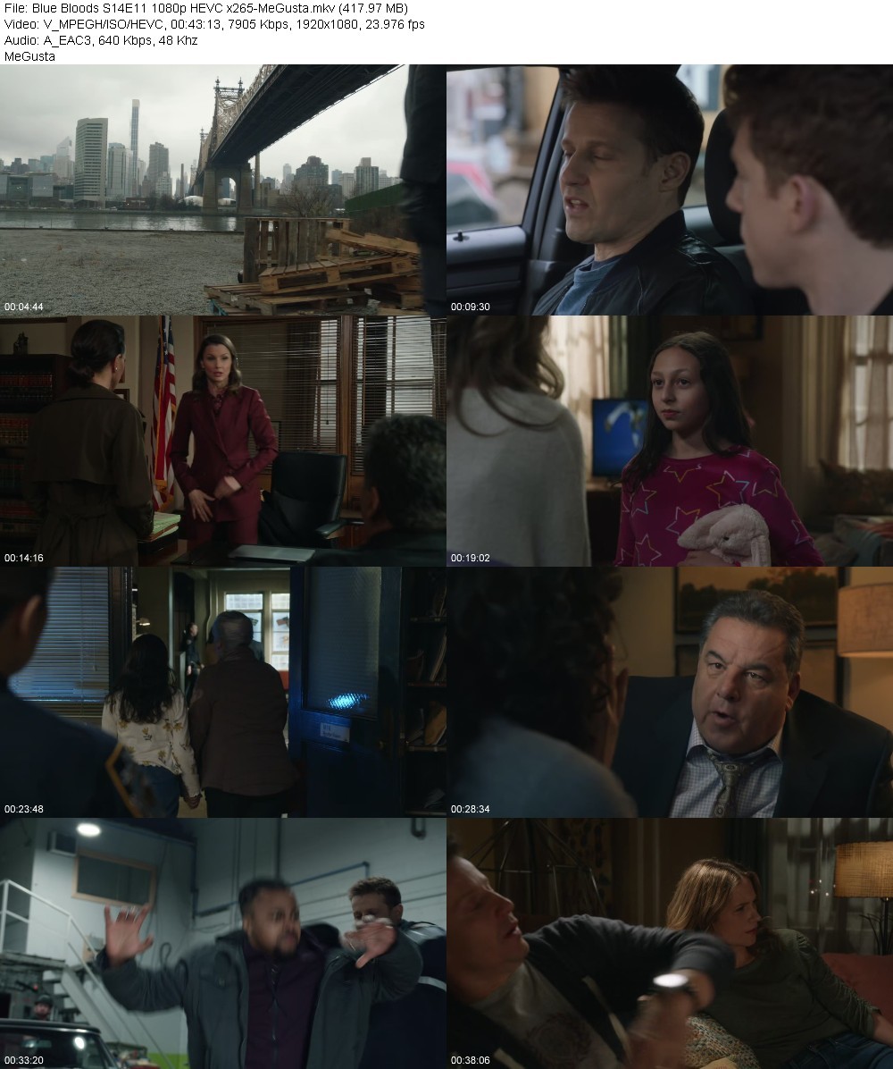 Blue Bloods S14E11 1080p HEVC x265-MeGusta