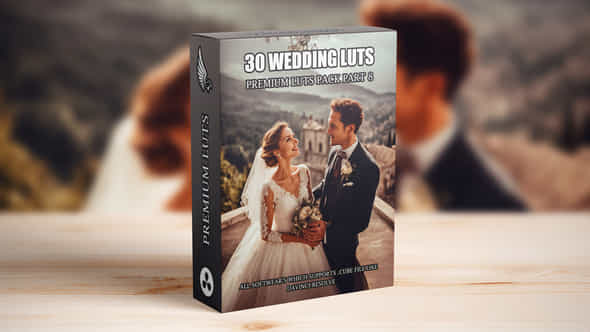 Top 30 Professional Cinematic Wedding Luts For Wedding Filmmakers Part 8 - VideoHive 49661638