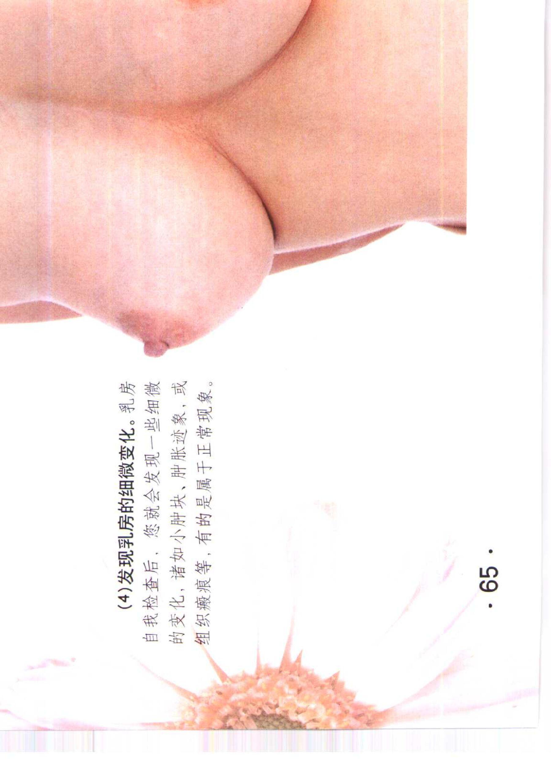 书籍扫描 乳房保健按摩彩色图谱(70)
