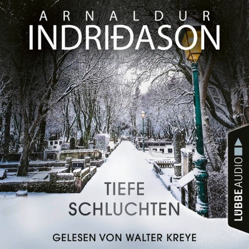 Arnaldur Indriðason - Tiefe Schluchten  (Ungekürzt) - 2021