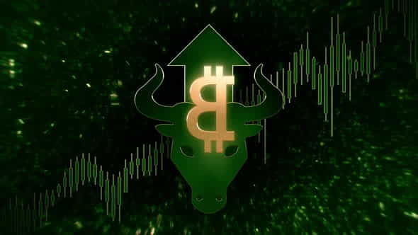 Bitcoin Trading Bull Market Green - VideoHive 32719691