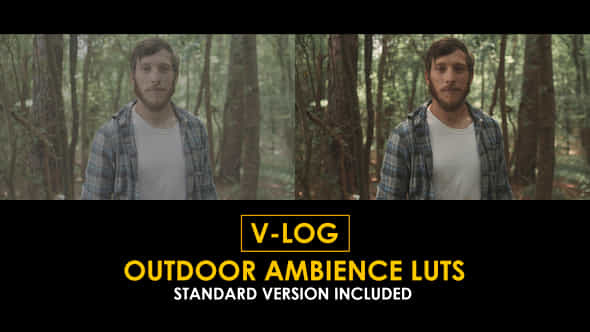 Vlog Outdoor Ambience And Standard Color Luts - VideoHive 51378599