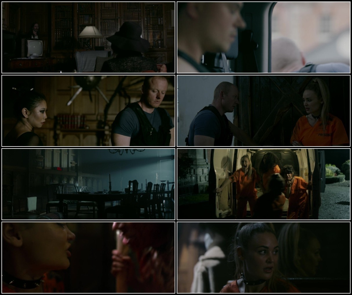 Snake Hotel (2023) 720p WEBRip x264 AAC-YTS FnDu4Iql_o