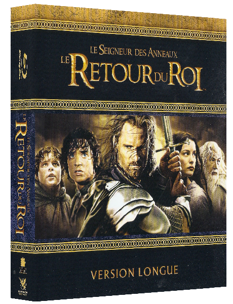 The Lord of the Rings 3 The Return of the King 2003 Extended BR EAC3 VFF ENG 1080p x265 10Bits T0M Le seigneur des anneaux 3 Le retour du roi Versio
