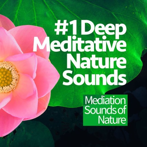 Mediation Sounds of Nature - #1 Deep Meditative Nature Sounds - 2019