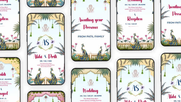 Indian Wedding Invitation Instagram Story - VideoHive 56701586