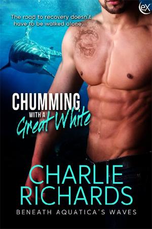 Chumming with a Great White