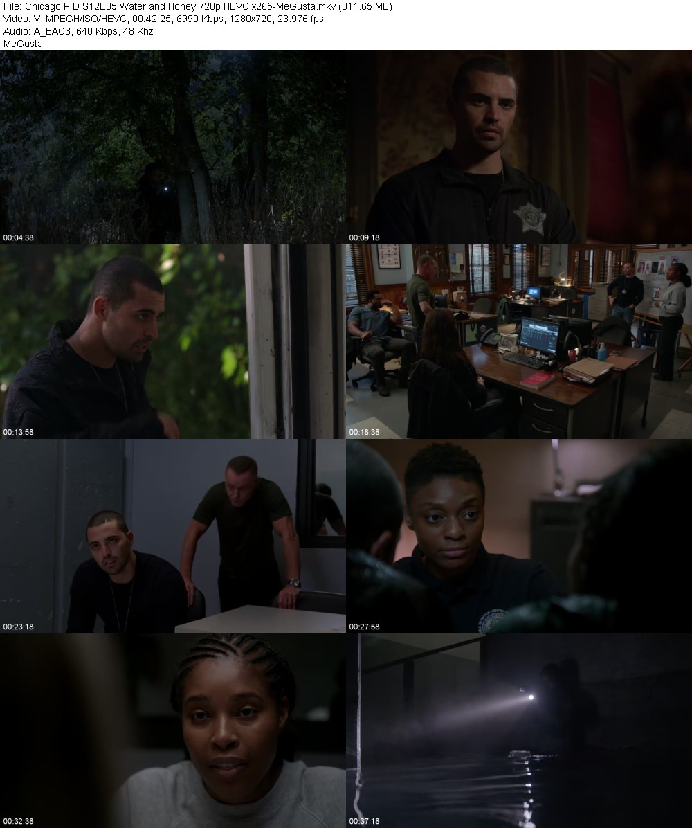 Chicago P D S12E05 Water and Honey 720p HEVC x265-MeGusta