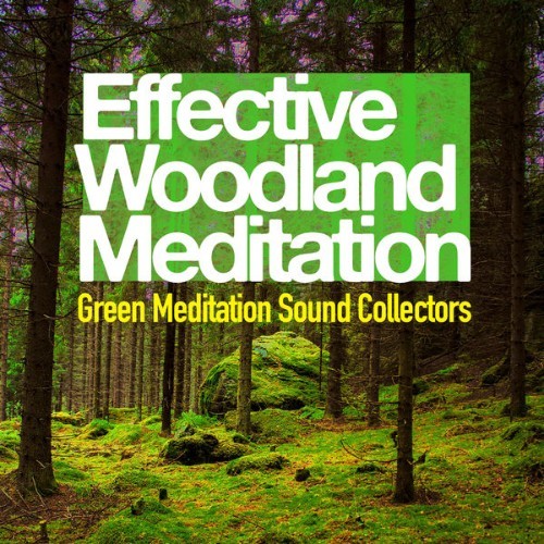 Green Meditation Sound Collectors - Effective Woodland Meditation - 2019