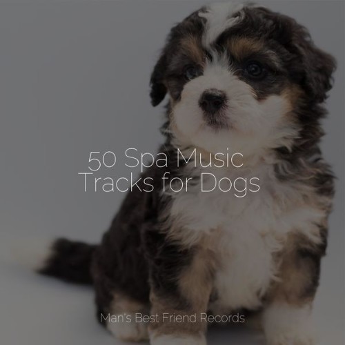 Music For Dogs - 50 Spa Music Tracks for Dogs - 2022