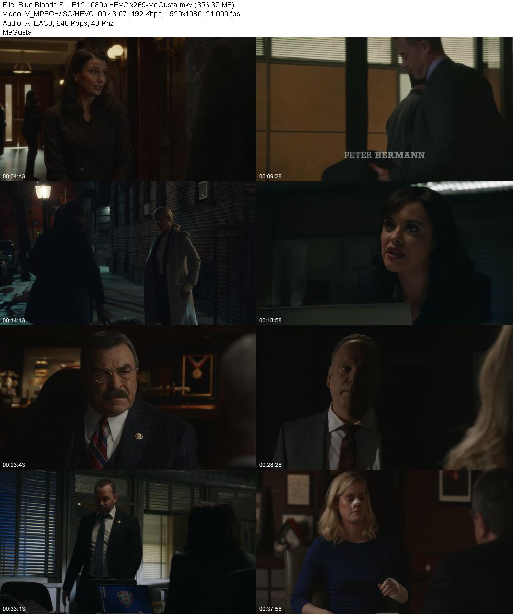 Blue Bloods S11E12 1080p HEVC x265