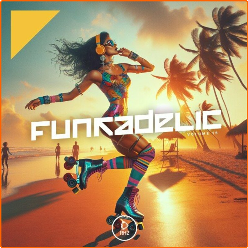 VA Funkadelic Vol 17 (2024) [320 Kbps] IcbqPvtR_o