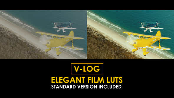 Vlog Elegant Film And Standard Luts - VideoHive 51362300