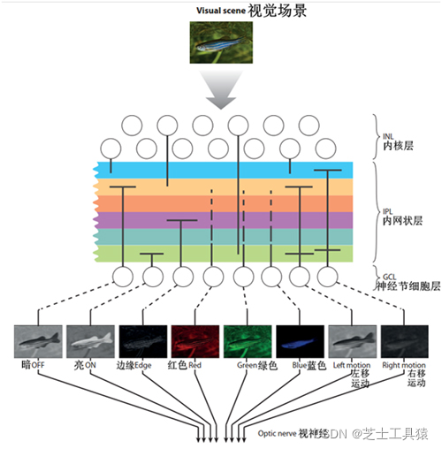 图片源于网络