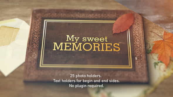 Old Memories Album Gallery - VideoHive 9788145