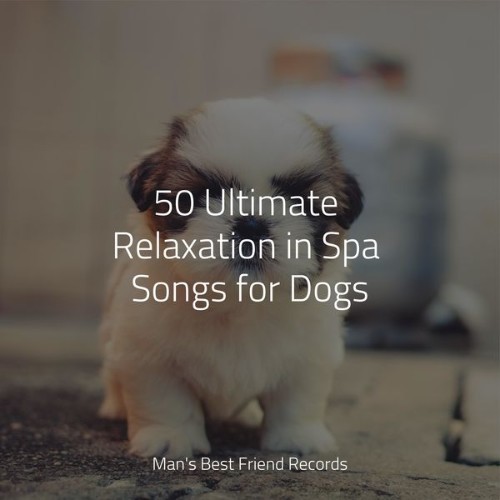 Official Pet Care Collection - 50 Ultimate Relaxation in Spa Songs for Dogs - 2022