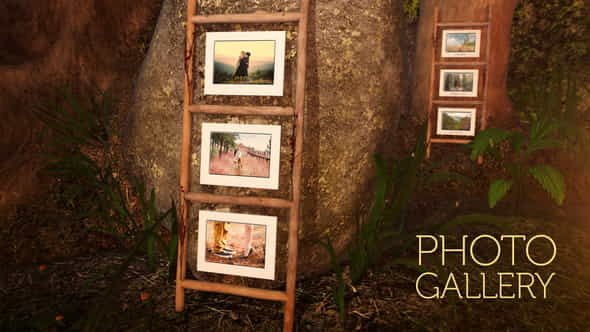 Photo gallery in an enchanted - VideoHive 24597028