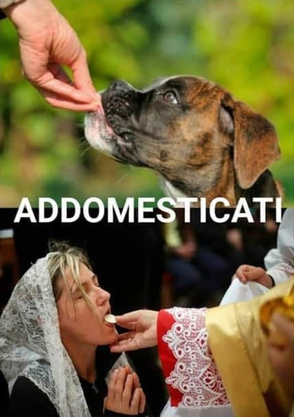 SLOGAN contro la religione - Pagina 5 YLc8LHX4_o